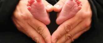 voluntary recognition of paternity