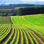 How to get land for farming. Obtaining agricultural land in stages 