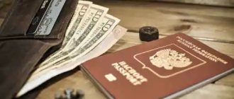 Кошелек с деньгами лежит с российским паспортом