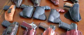 Pistols in a holster