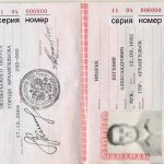 passport series and number